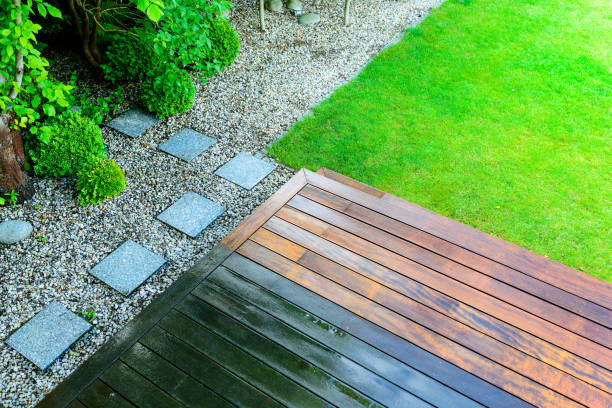 Best Roof Cleaning and Mildew Removal in Crandon, WI